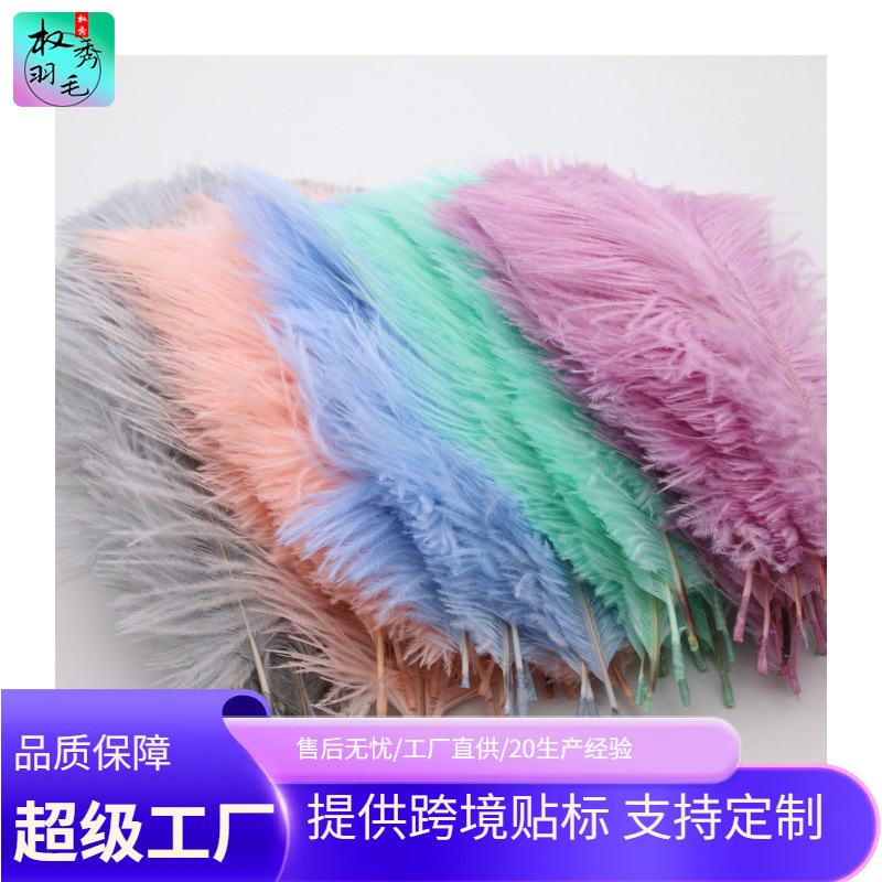 Factory Direct Sales Large Quantities in Stock 15-20cm Ostrich Feathers Wedding Flower Arrangement Feathers Stage Performance Props