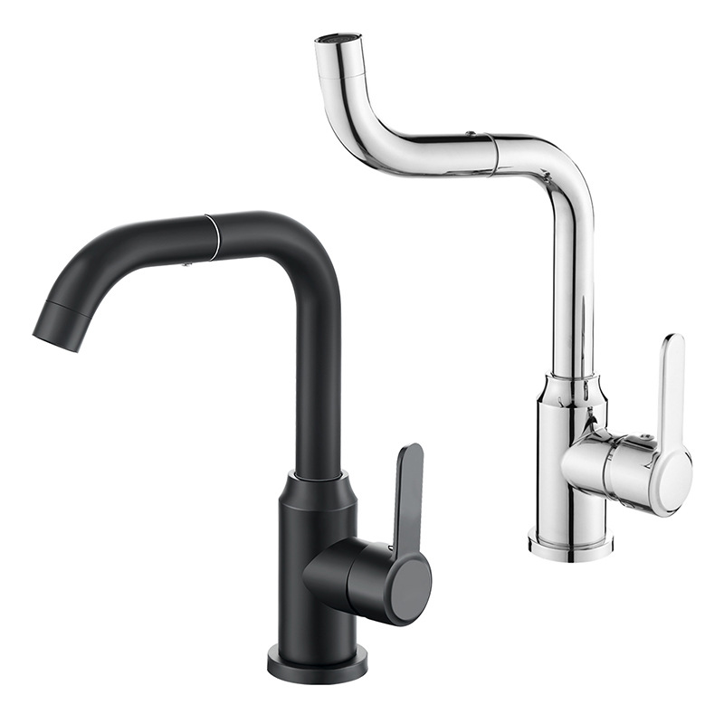 Stainless steel rotatable universal basin faucet hot and cold counter basin wash basin wash basin gargle black faucet