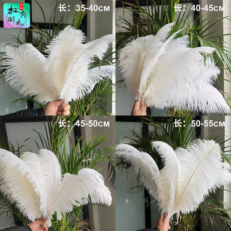 Factory direct 35-55cm ostrich feather stage performance White feather wedding DIY decoration ostrich feather wholesale
