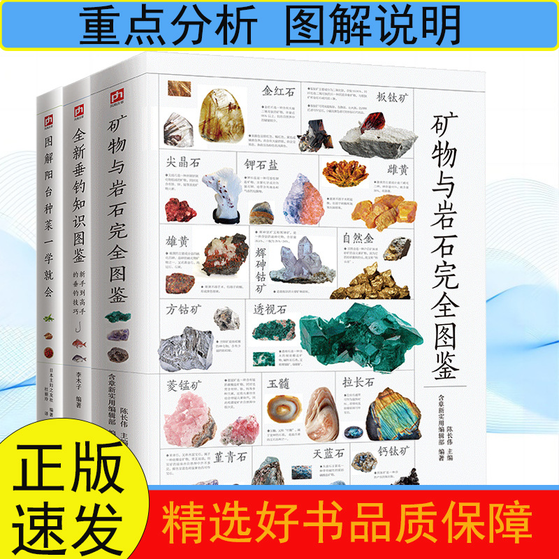 Mineral and rock complete map fishing knowledge complete balcony vegetable breeding science skills training books