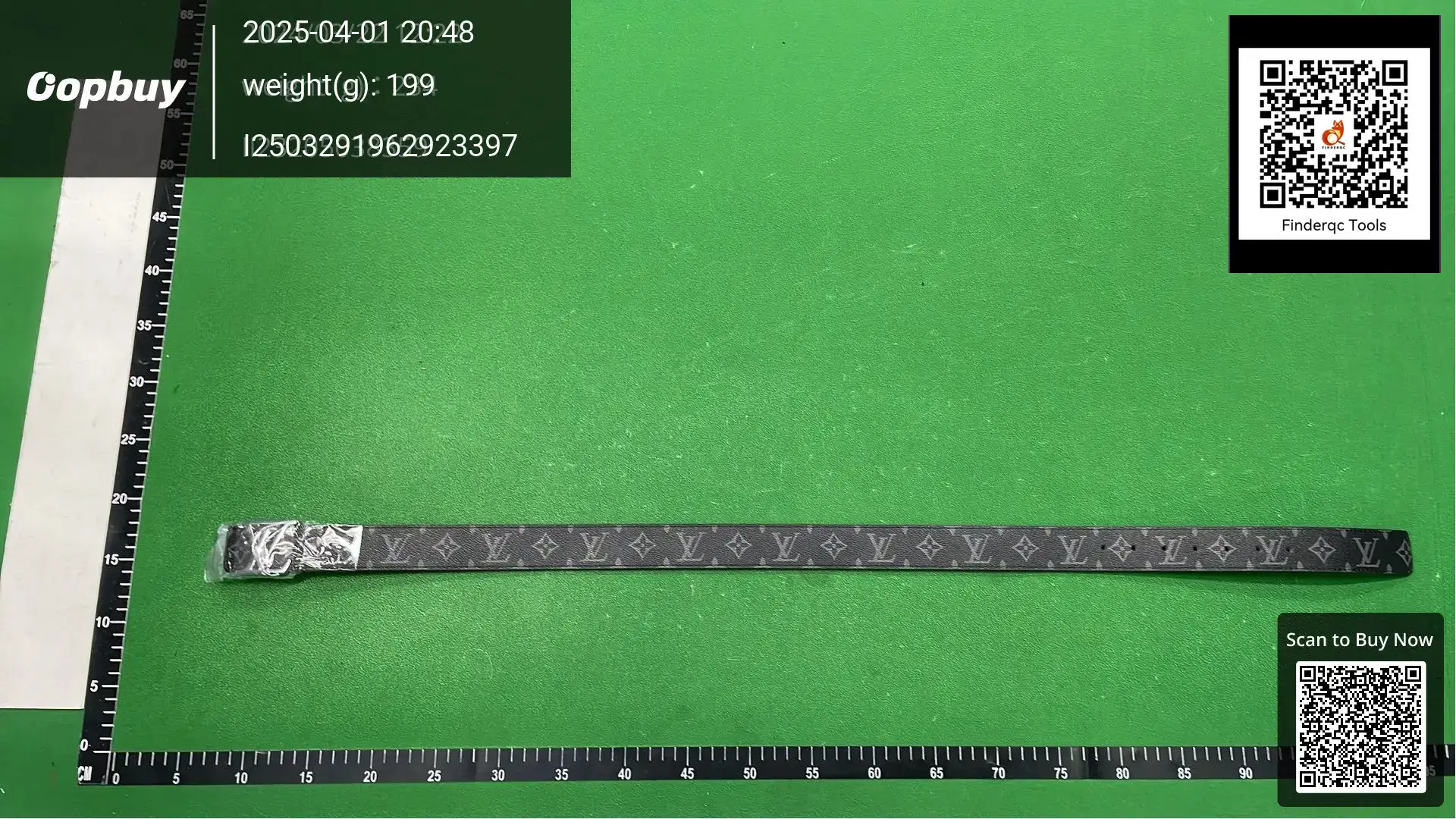 Louis Vuitton Men's Belt