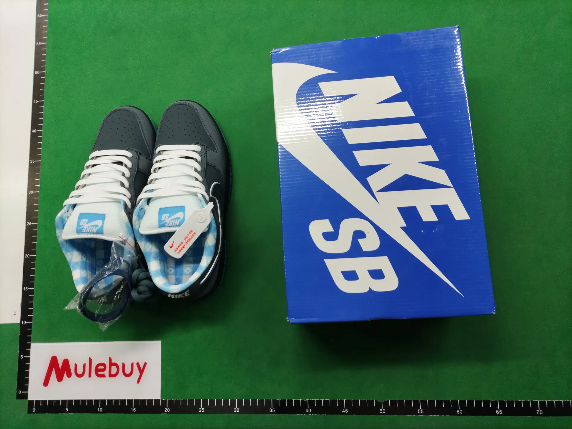 Nike SB Dunk Low