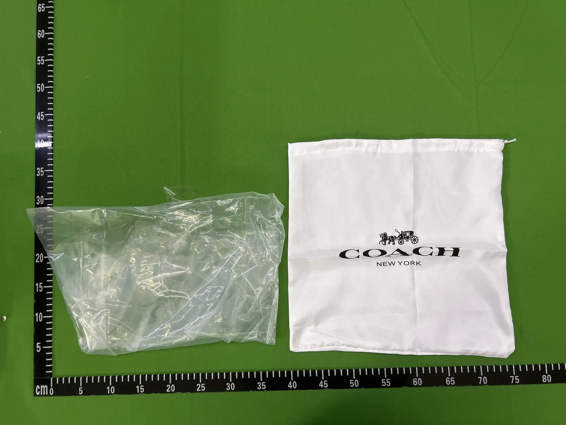 Coach Dust Bag