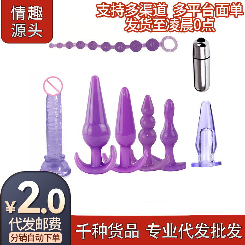 Silicone Anal Plug, Vibrating Anal Beads, Female Anal Masturbation Device, Sm Combination Set, Sex Toys