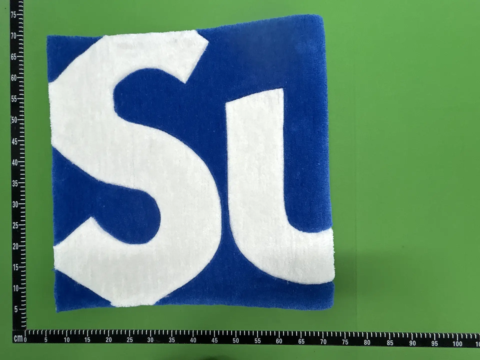 Blue and White SL Logo Carpet