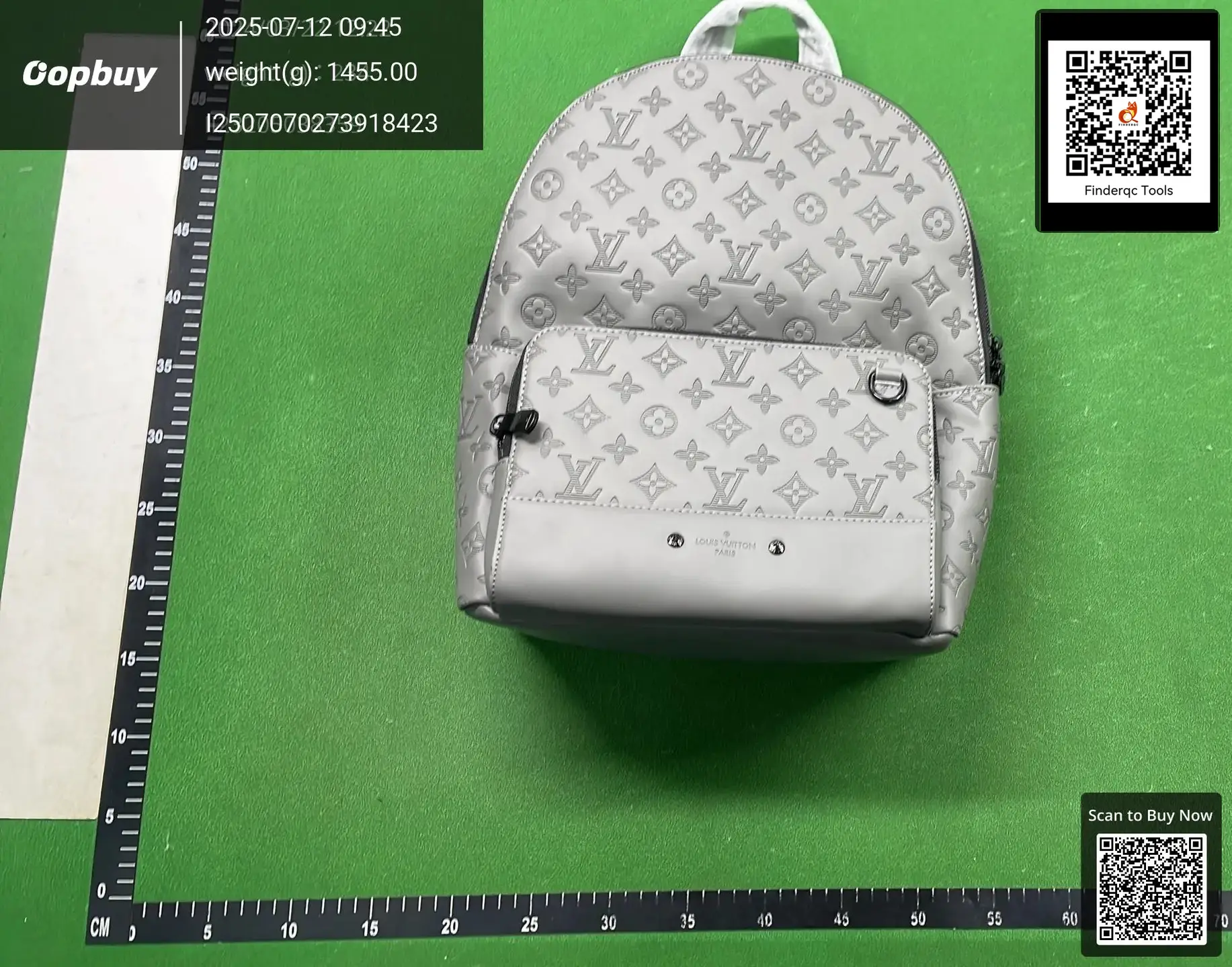 Louis Vuitton Monogram Backpack Grey