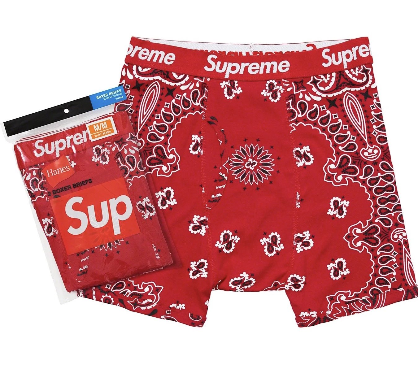 stAYP-1
