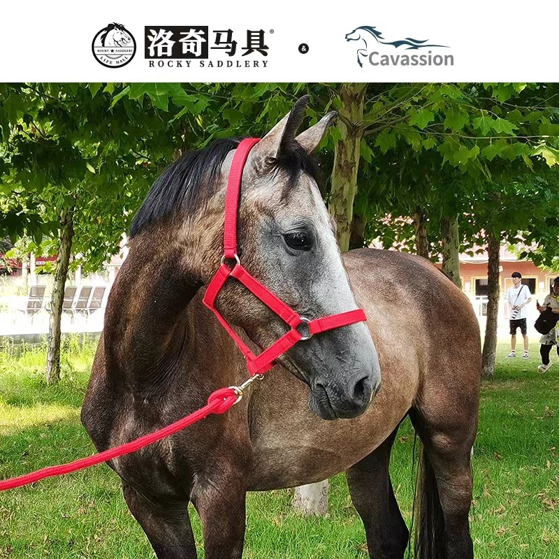 Horse Cage, Horse Racing, Horse Riding, Horse Reindeer, Webbing, Anti-Wear Horse Cage, Harness, Equestrian Supplies Factory 8218001