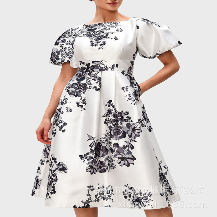 Amazon Cross-Border Foreign Trade Best-Selling High-Waisted Elegant Commuter Pullover A-Line Printed Short-Sleeved Waist-Cinching Long Dress