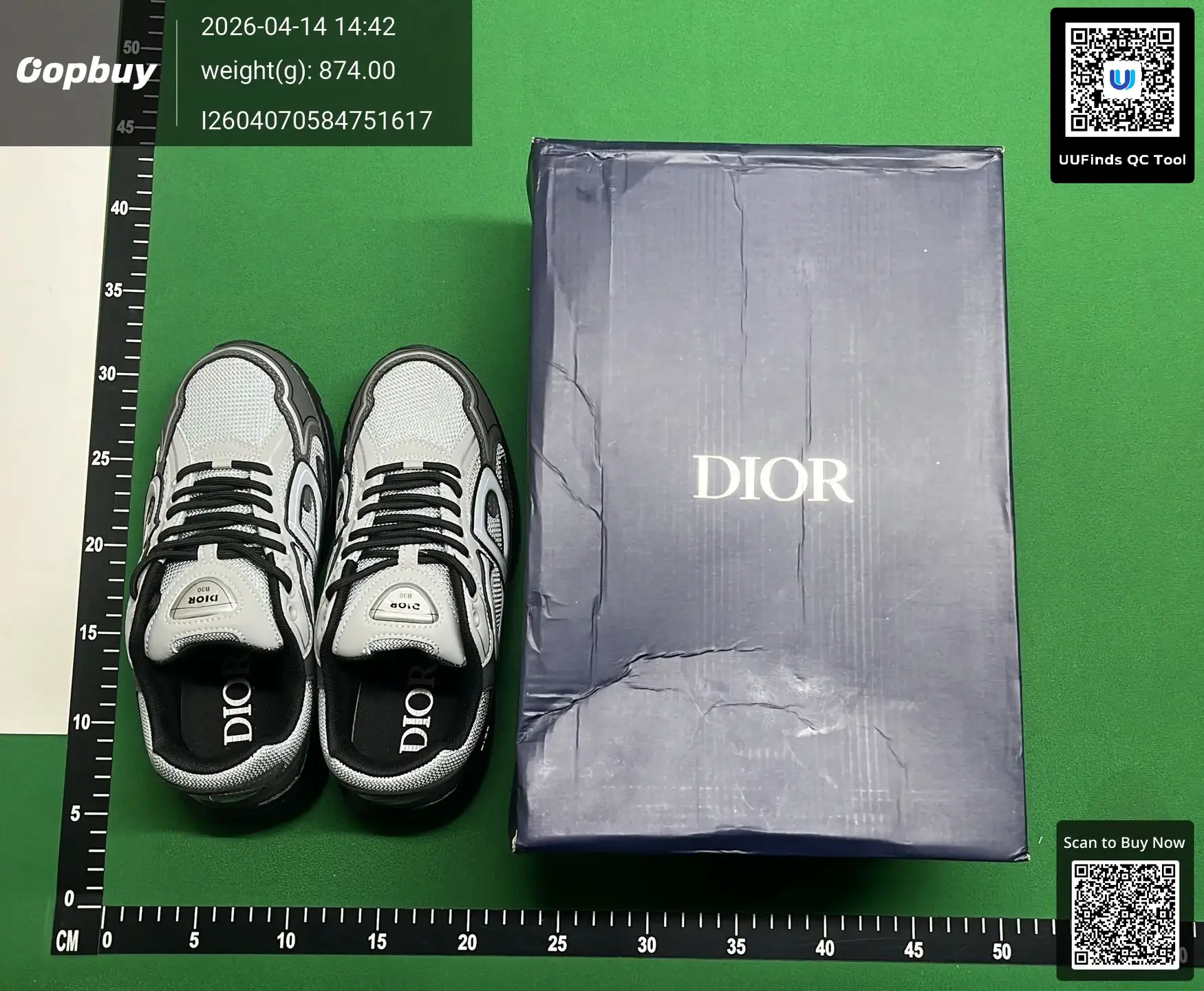 Dior B30 sneakers