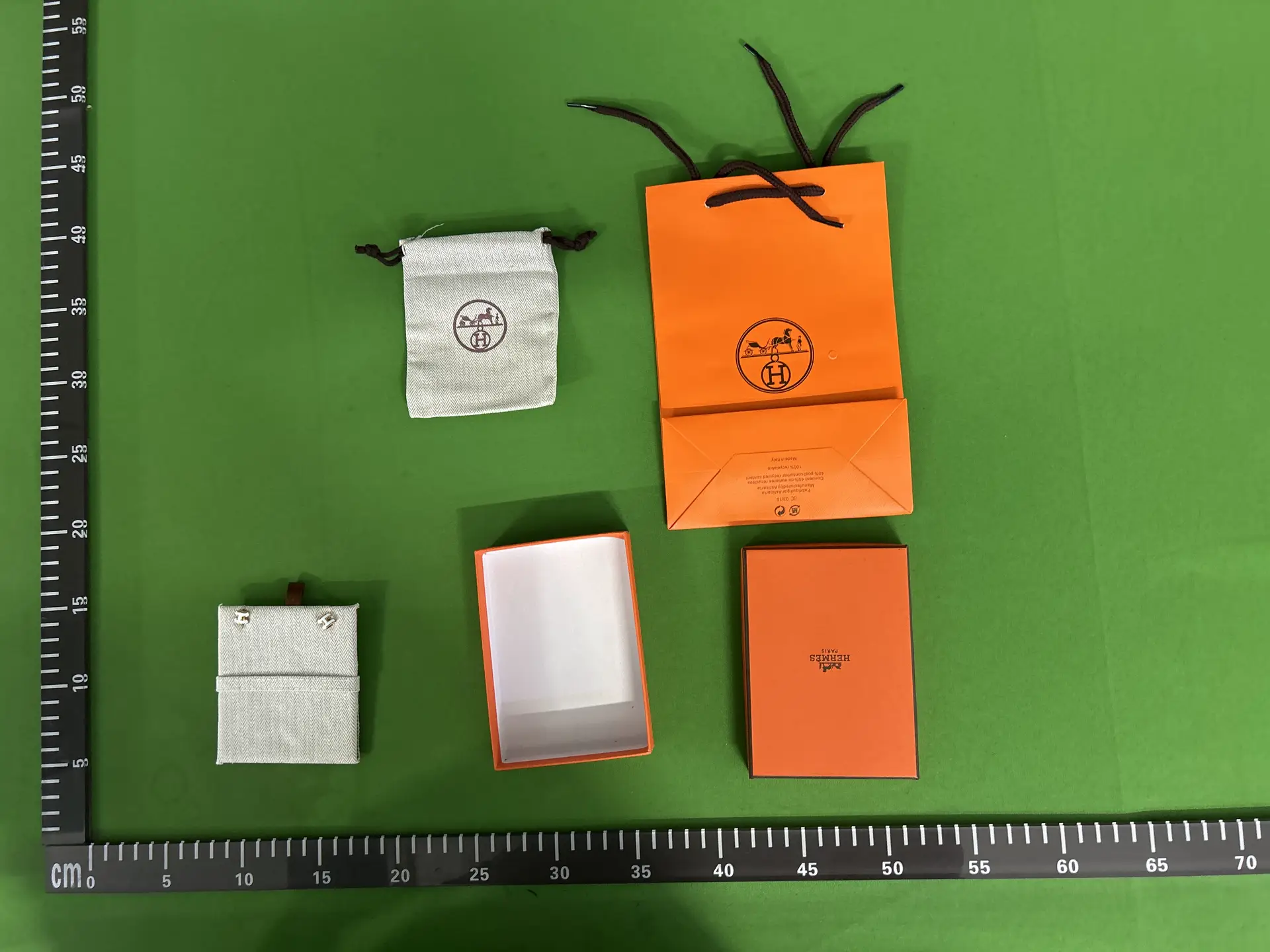 Hermes Paris Earrings