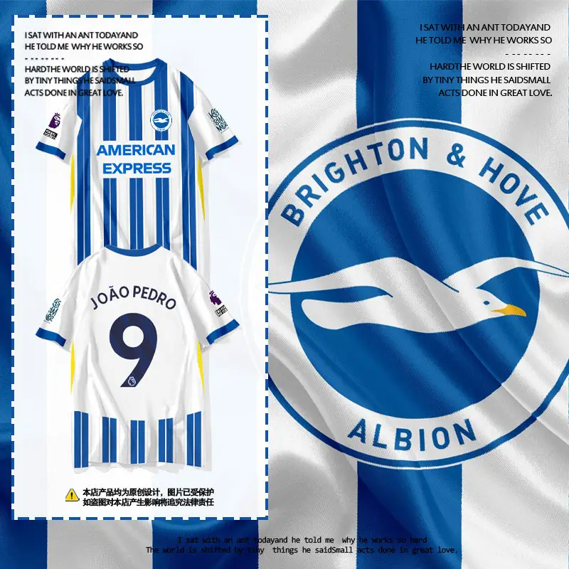 24-25 Brighton Team Uniform Sanjo Akira Football Clothes Quick-Drying Short-Sleeved T-Shirts for Men and Women Ice Silk Half-Sleeved Fan Clothes