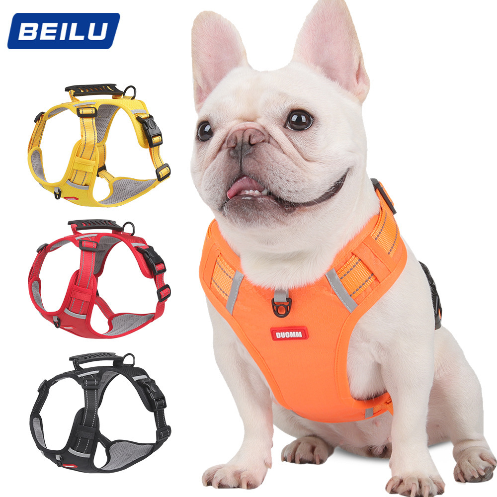 Cross-border Pet Chest and Back Cocky Teddy Medium Dog Baby Vest Explosion-proof Colour Collar with Dog Walking Leash