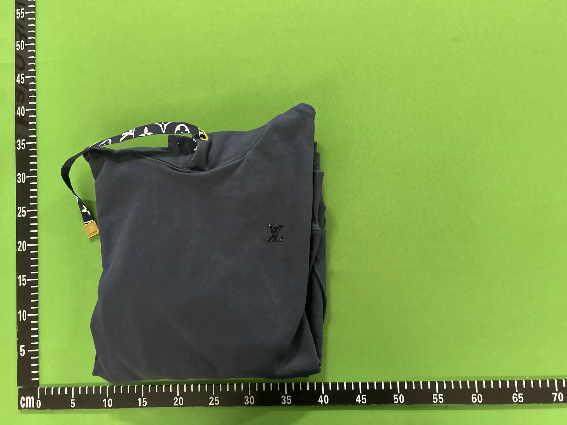 Louis Vuitton hoodie