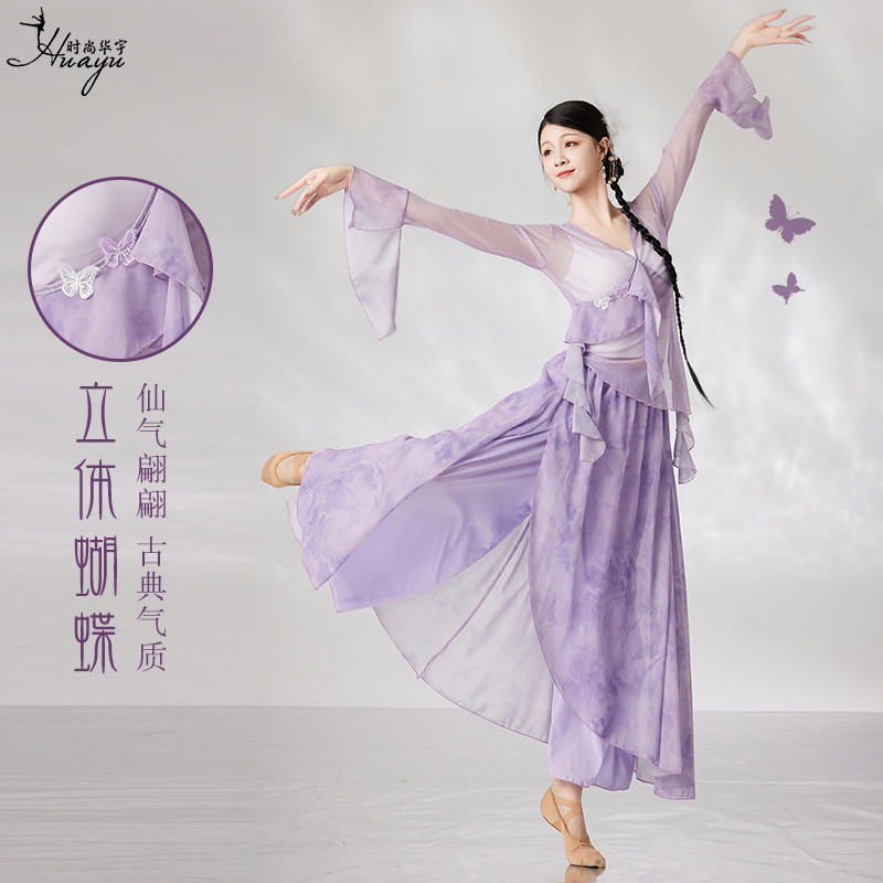 Huayu Classical Dance Dress Butterfly Vessel Dress Body Rhyme Practice Elegant Top Chinese Dance Fairy Dress suit
