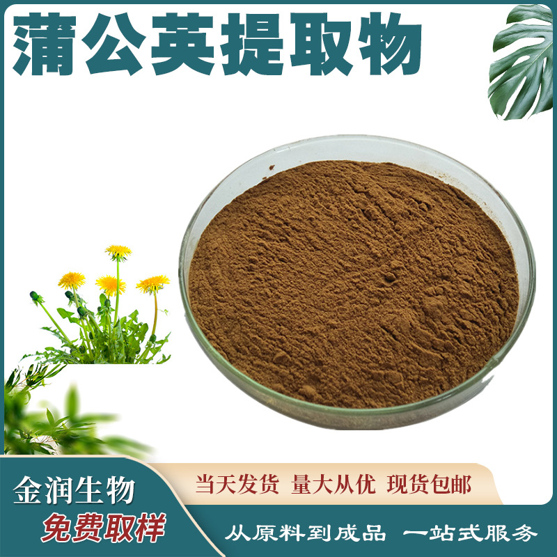 Dandelion Extract Proportion Extract Spray Drying Dandelion Large Preferable Water Soluble in stock