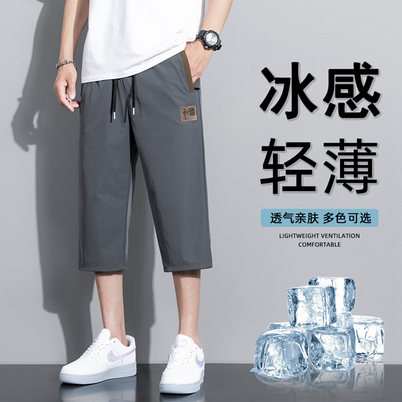 Summer New Men's Thin Quick-Dry Ice Silk Shorts Trendy Stylish Loose Casual Lightweight Sports Shorts