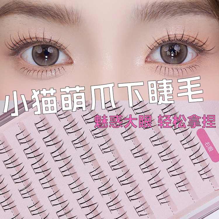 Fish Xiaoya Little Cat Claw Eyelashes Large Capacity Segmented Transparent Terrier Natural Pure Lazy People Cartoon Eyelashes
