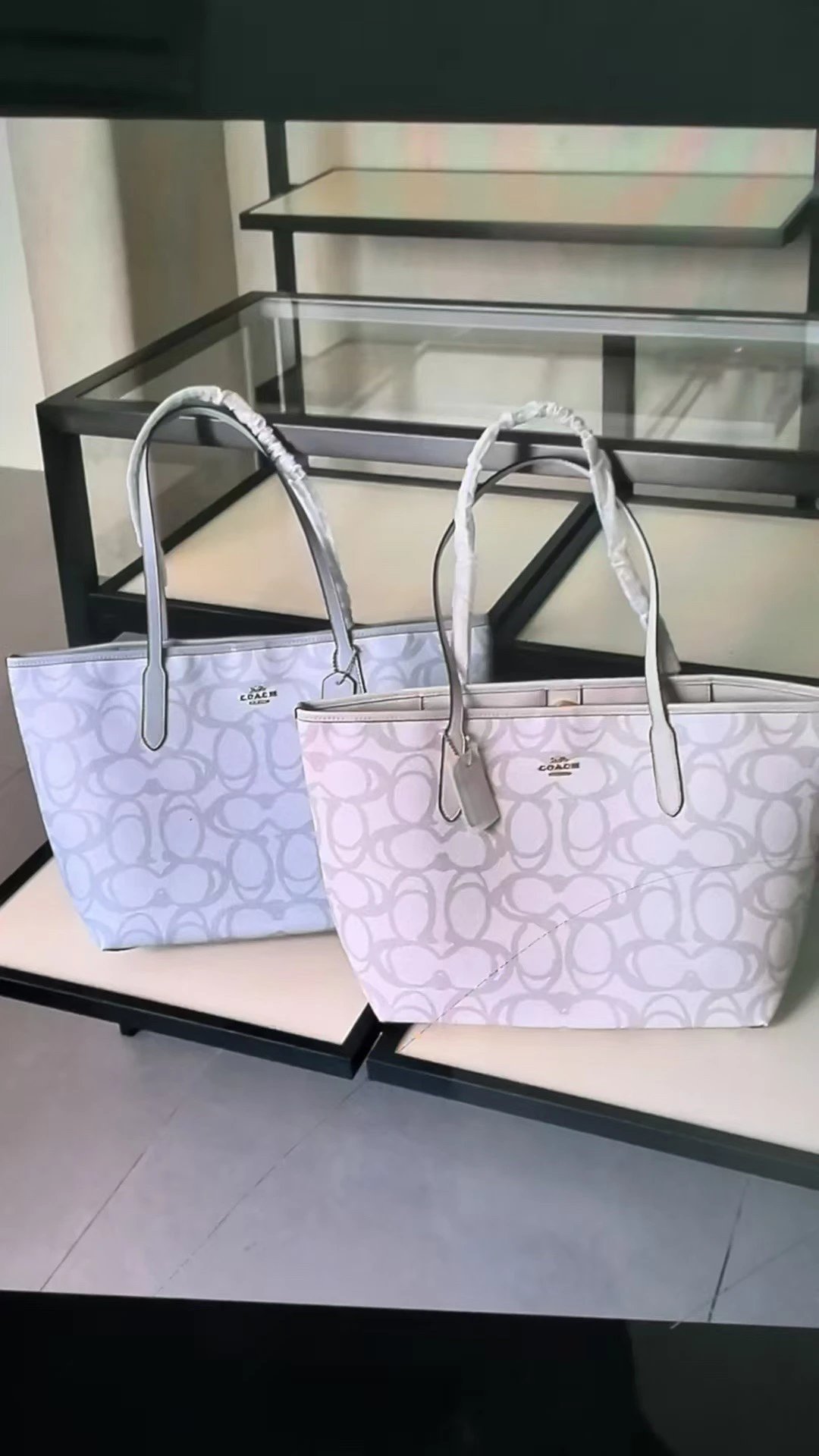 COACH Tote Bag