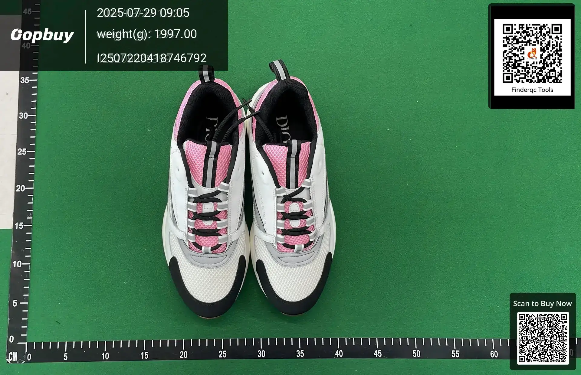 Dior B22 Sneakers White Pink