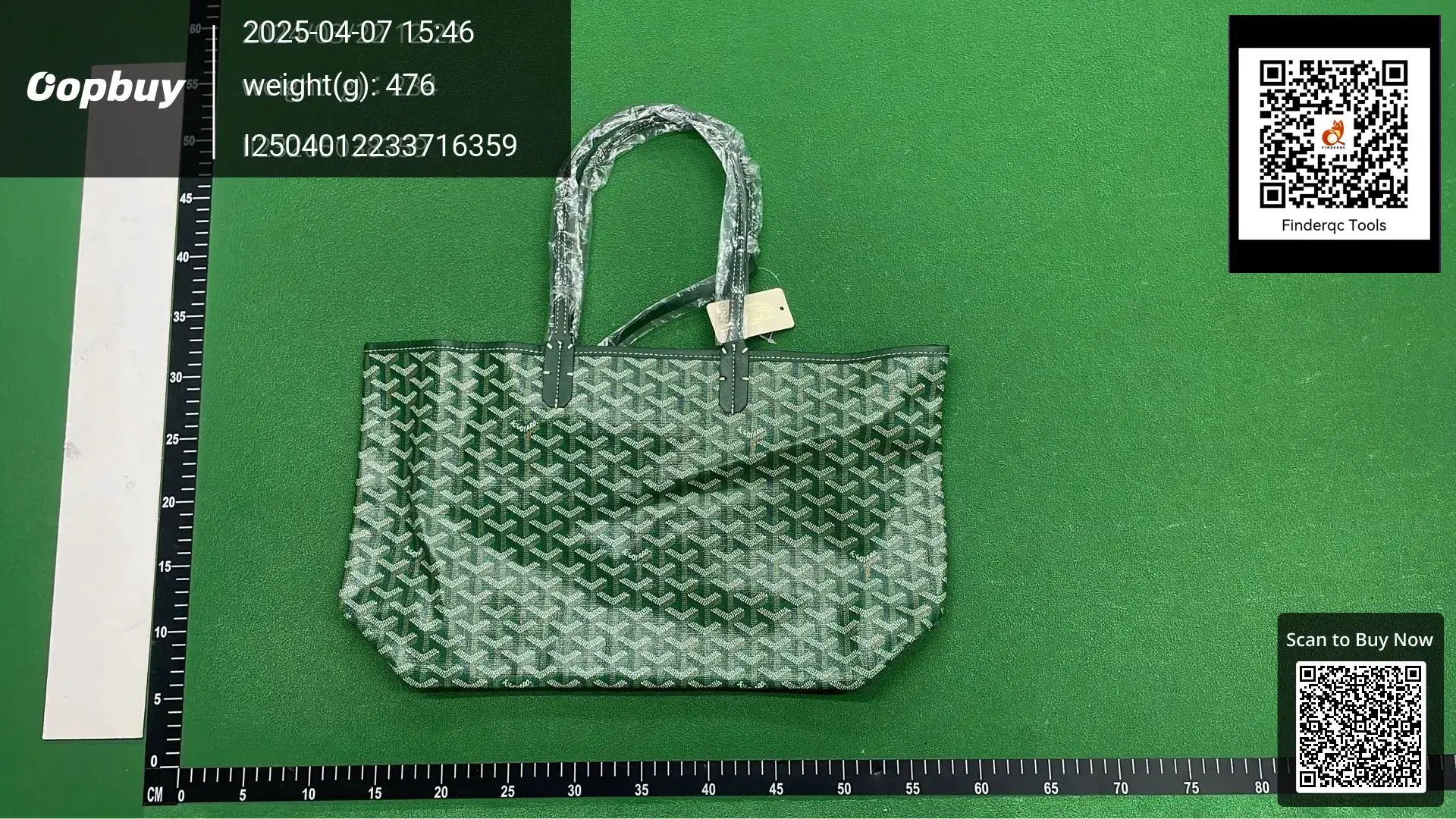 Goyard Saint Louis Tote Bag Green