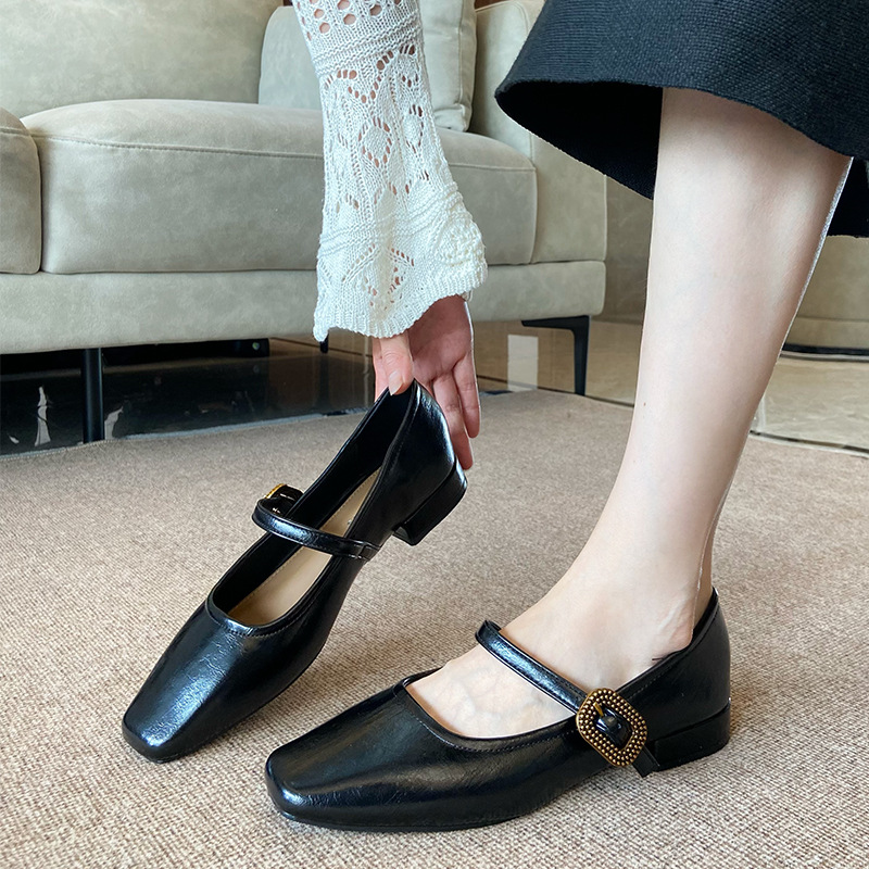 French-Style Square-Toe Shallow-Mouth Single Shoes for Women, 2026 Autumn New Model, Elegant Chunky Heel, Single Strap Mary Jane Shoes