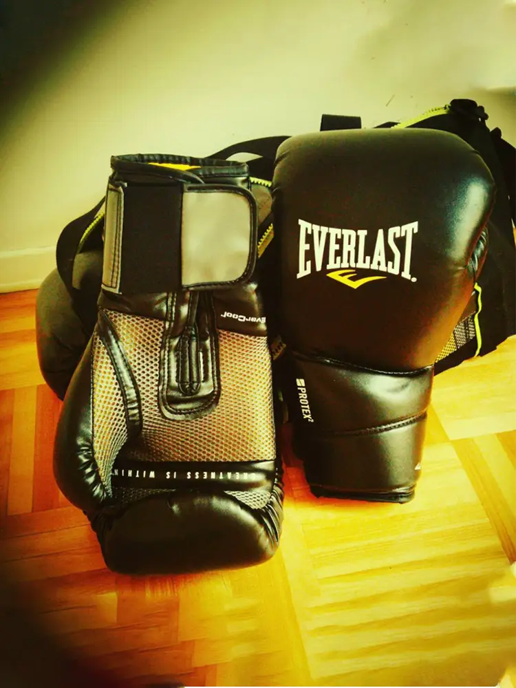Everlast Protex2 Boxing Gloves for Men and Women Sanda Training Muay Thai Fighting Professional Sandbag Gloves