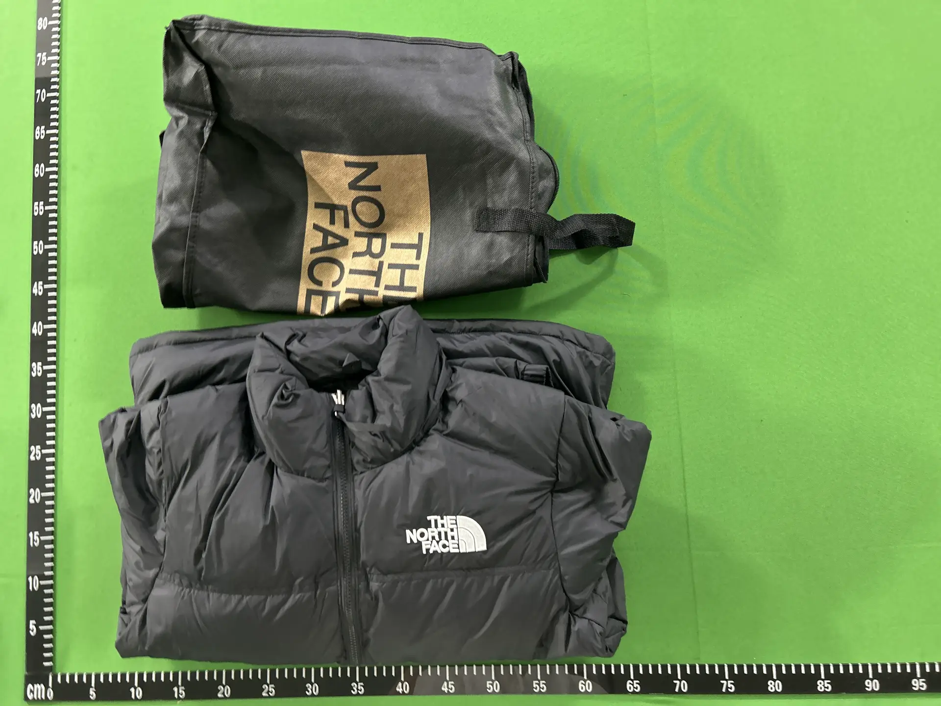 The North Face 700 Fill Down Jacket