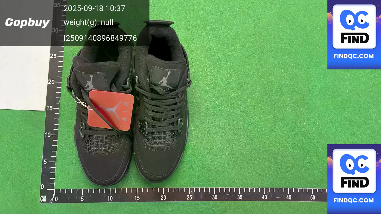 Jordan 4 Retro Black Cat QC