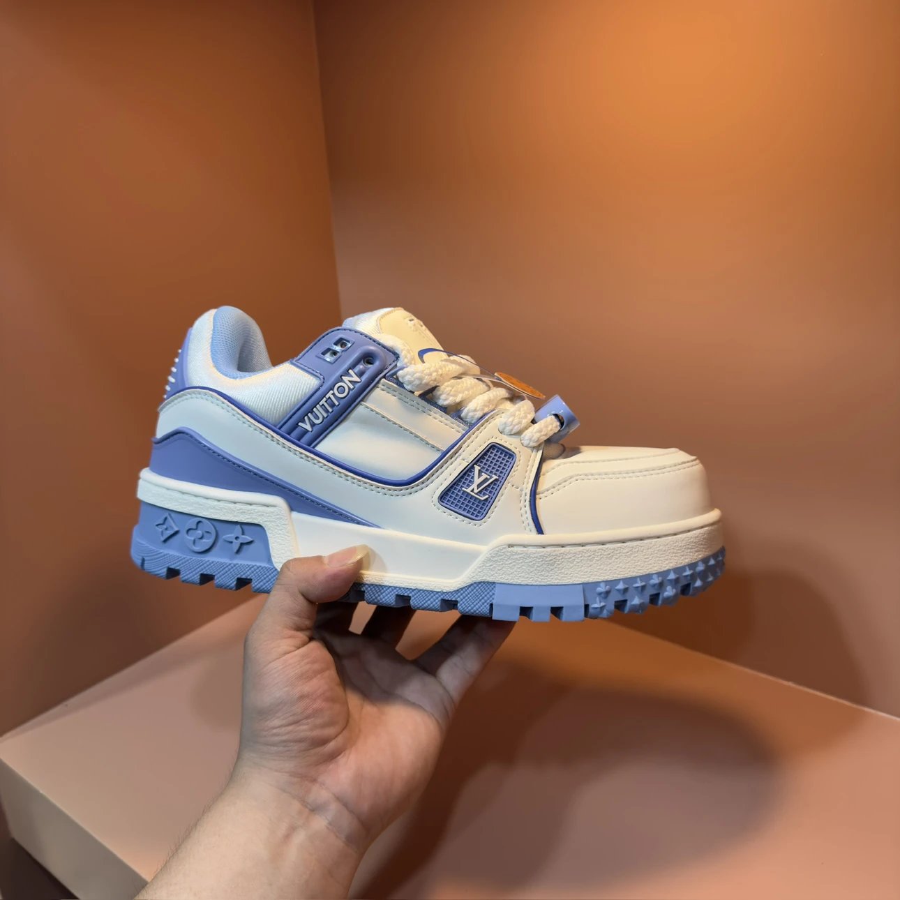 Louis Vuitton Sneakers