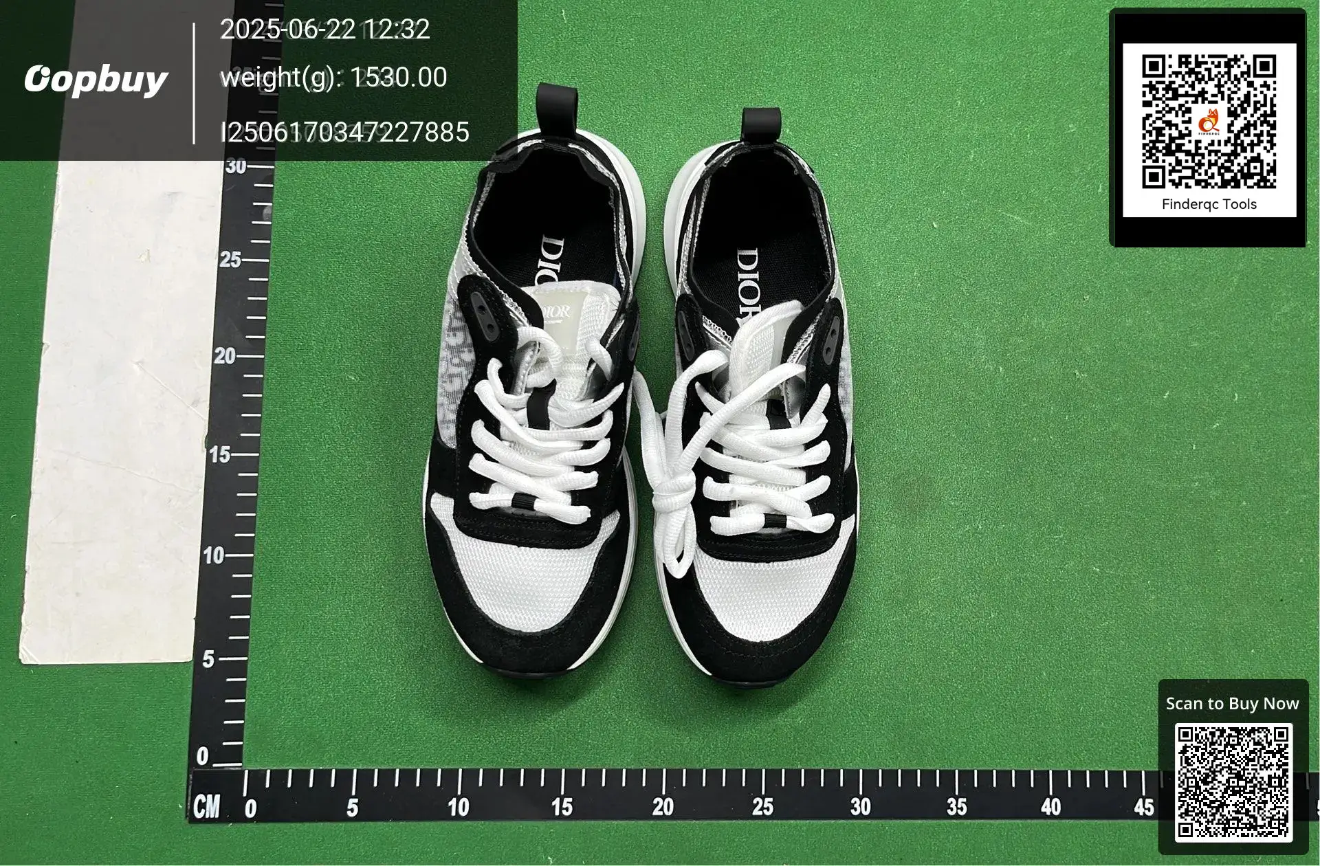 Dior B23 sneakers black white