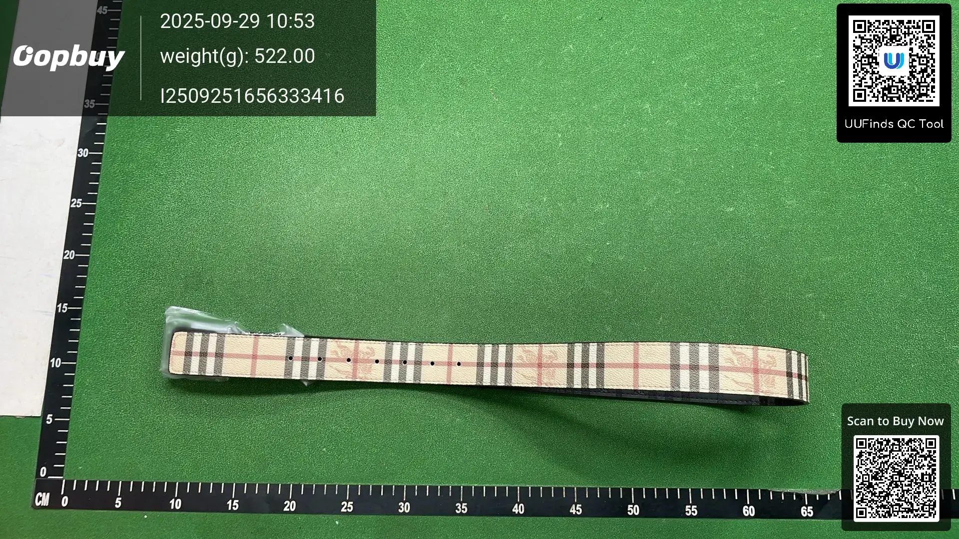 Fashion Belt BUR-coco