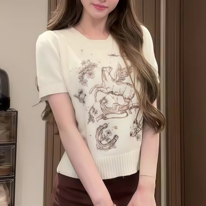2026 Early Spring New Unique and Beautiful Slim-Fit Women's Top with a Stylish Design, Round Neck, Heavy Embroidery, Knitted Short-Sleeve T-Shirt