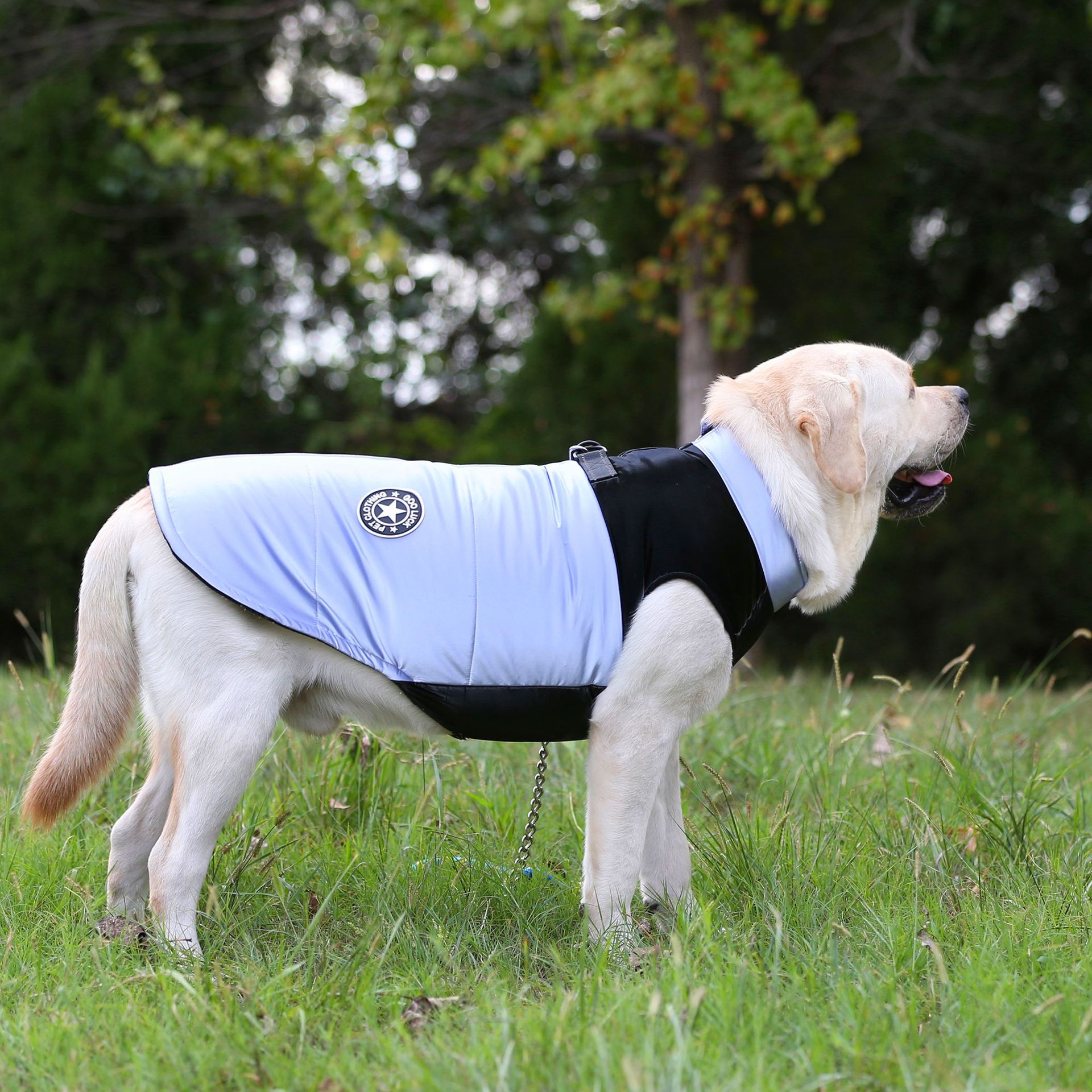 Pet Clothes, Big Dog Clothes, Pet Clothes, Golden Retriever Pet Clothes, Winter New 22 Motorcycle Vest