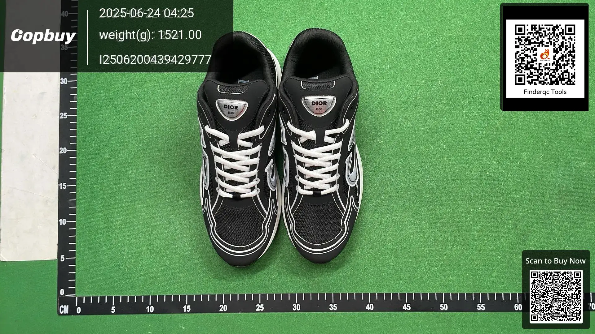 Dior B30 Sneakers Black