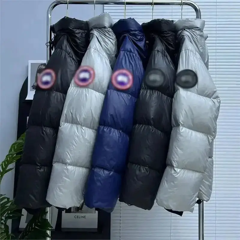 加拿大风大鹅羽绒服男士羽绒