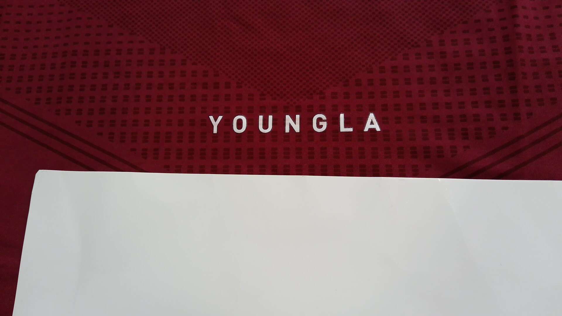 2024 New Summer Gym Men Sports Running Casual Vest Printed Stretch Breathable Fitness Top QC