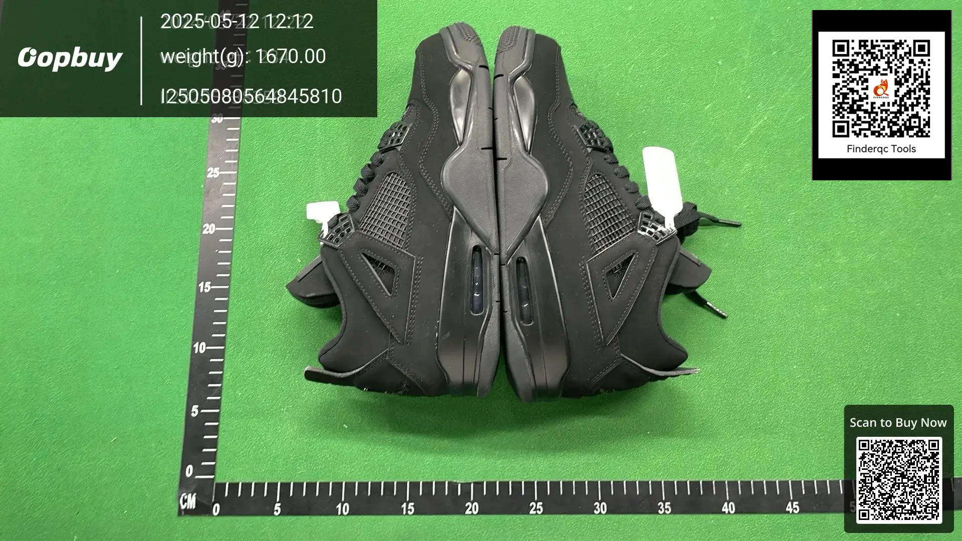 Air Jordan 4 Black Cat
