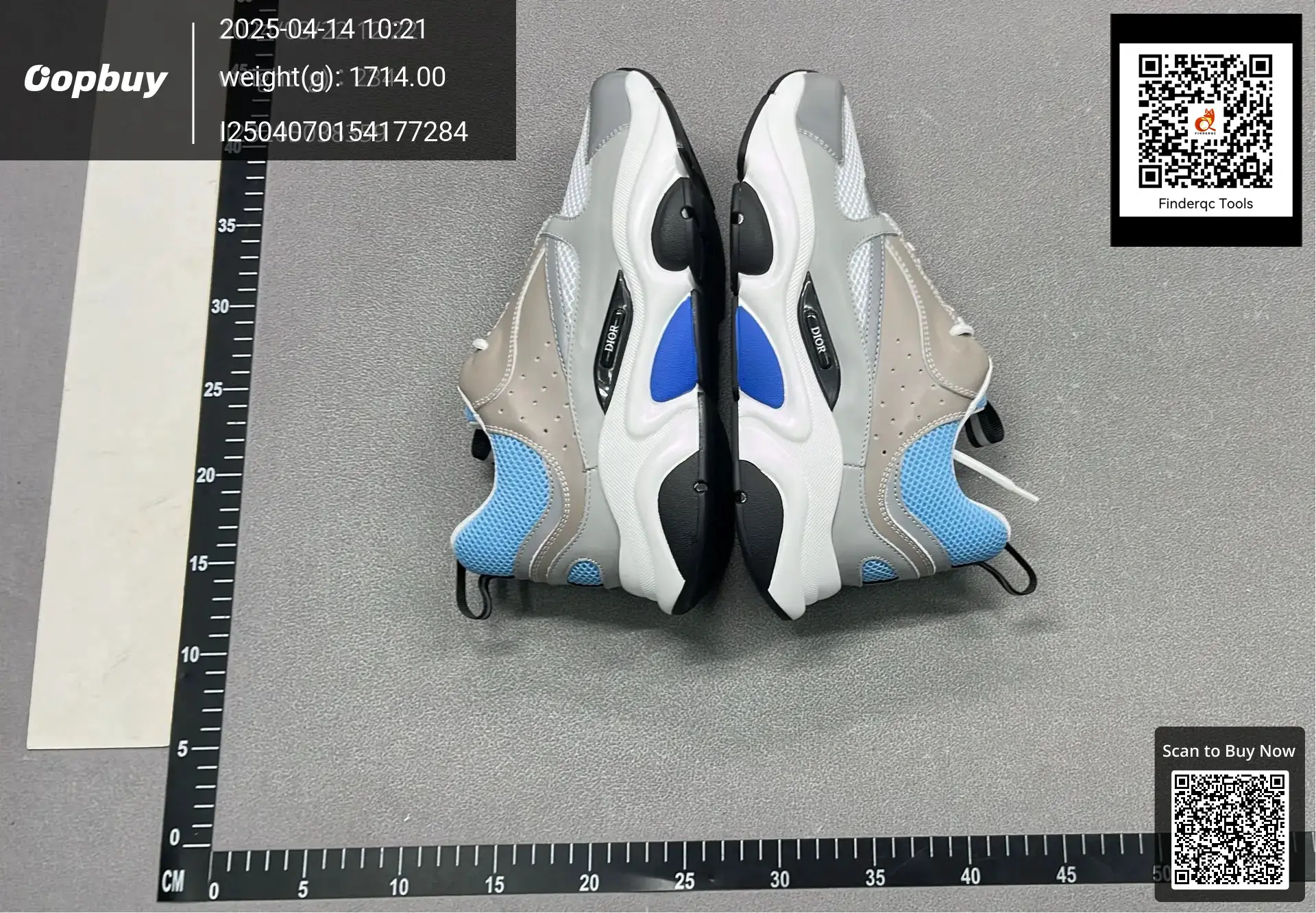Dior B22 B30 Dad Shoes