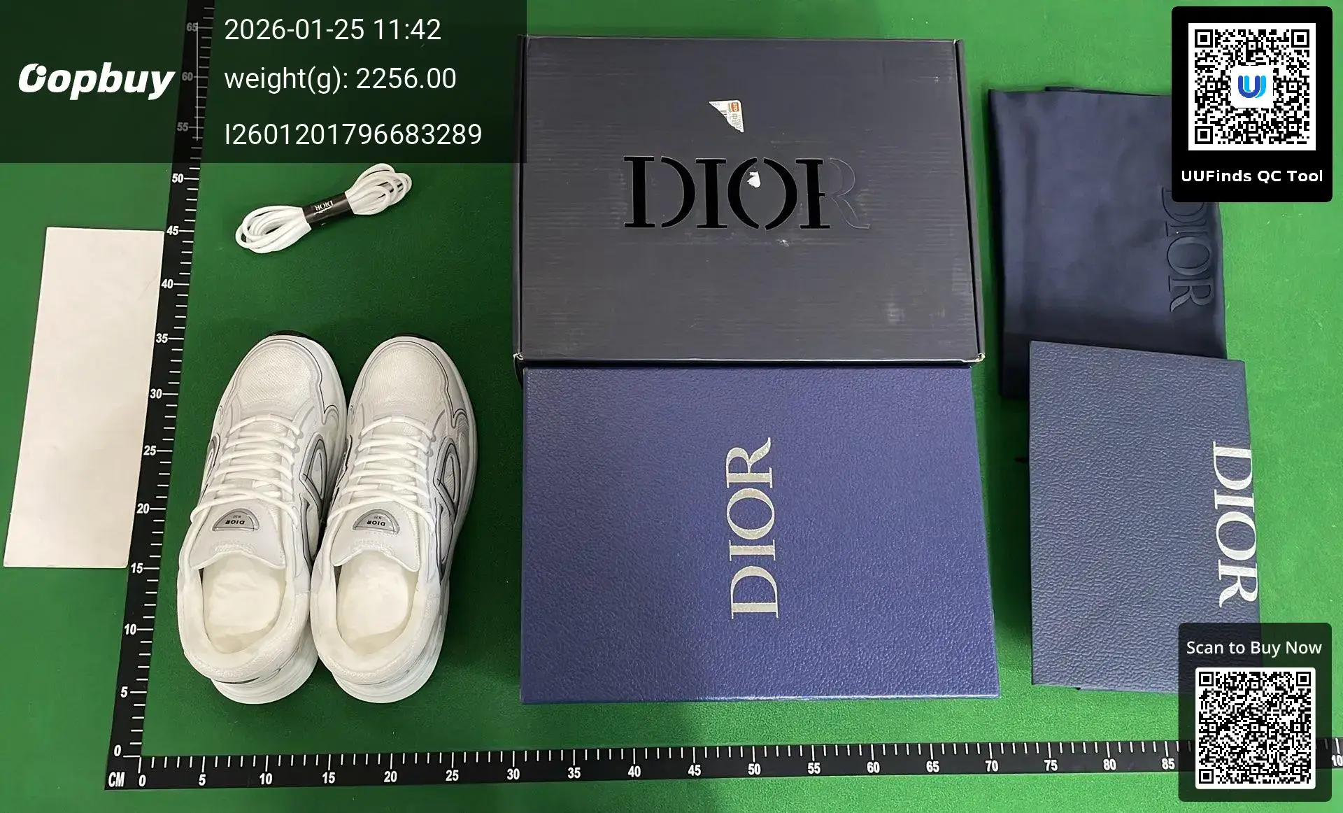 Dior B23 Sneakers White