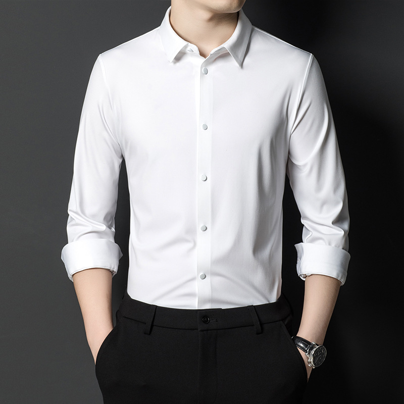 Spring New Style Seamless Laminated Non-Iron Long-Sleeved Shirt Men's Nylon Four-Sided Stretch Business Casual Shirt with High-End Feel