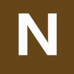 N famous watches logo
