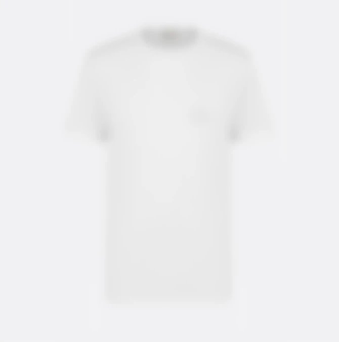 Dior Shirts