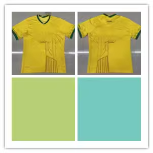 Nike Brazil National Team Football Shirt
