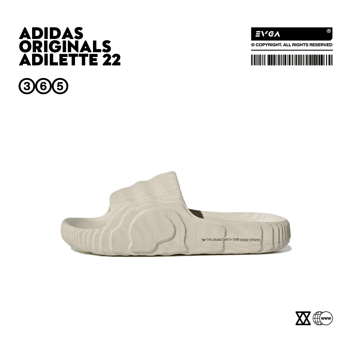 Adidas Shoes