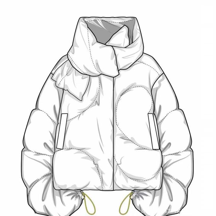 The North Face Jackets