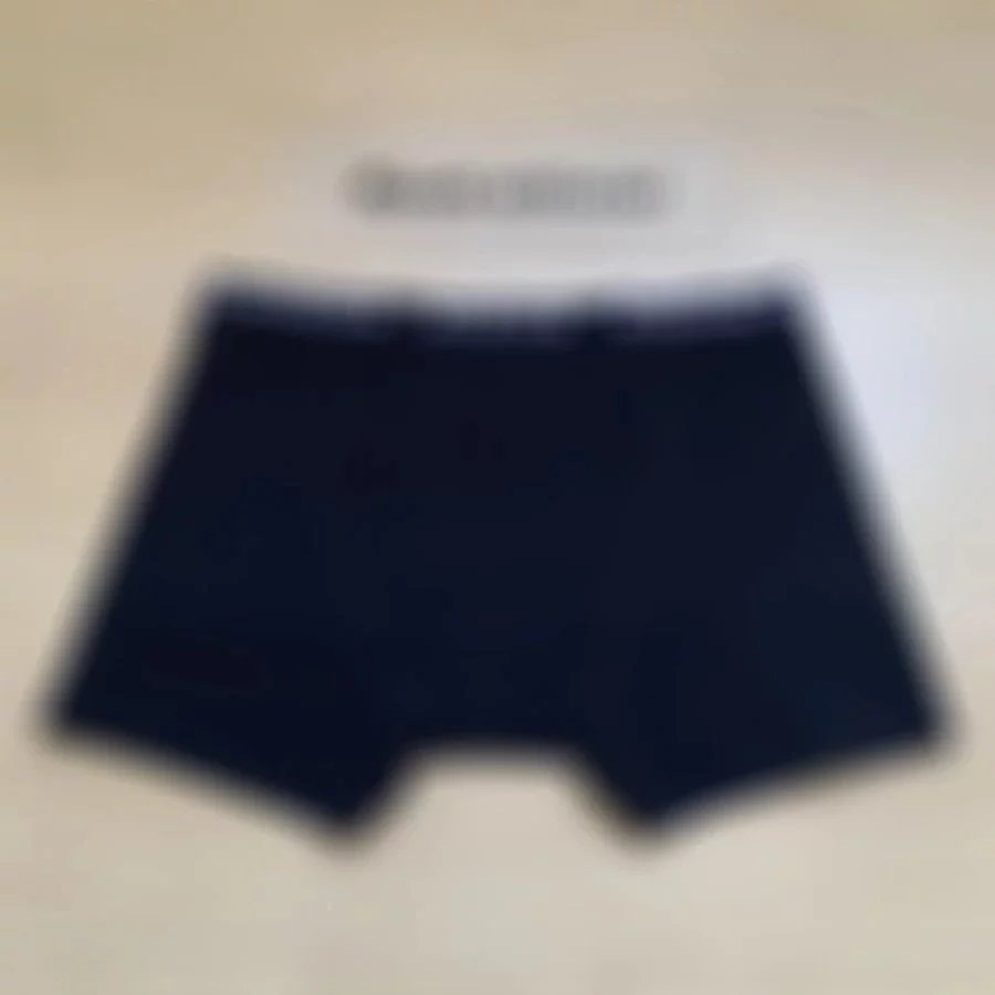 Chrome Hearts Underwear