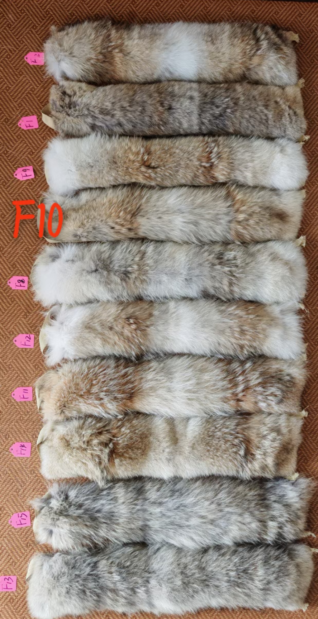 Canada Goose Jackets