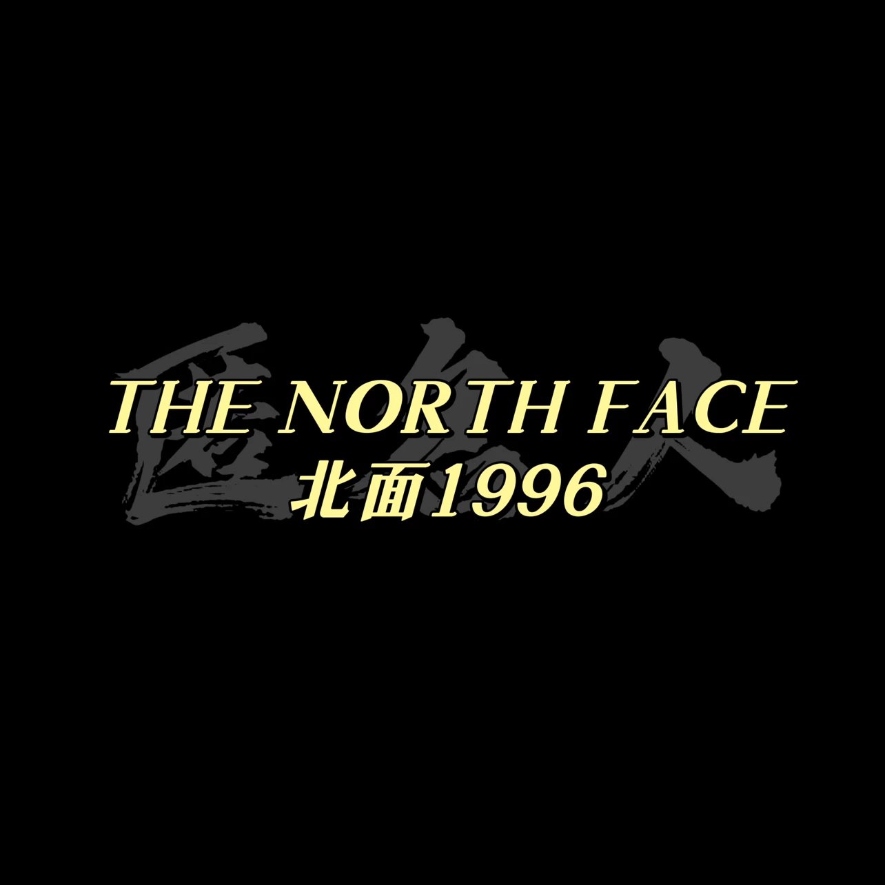 The North Face Jackets