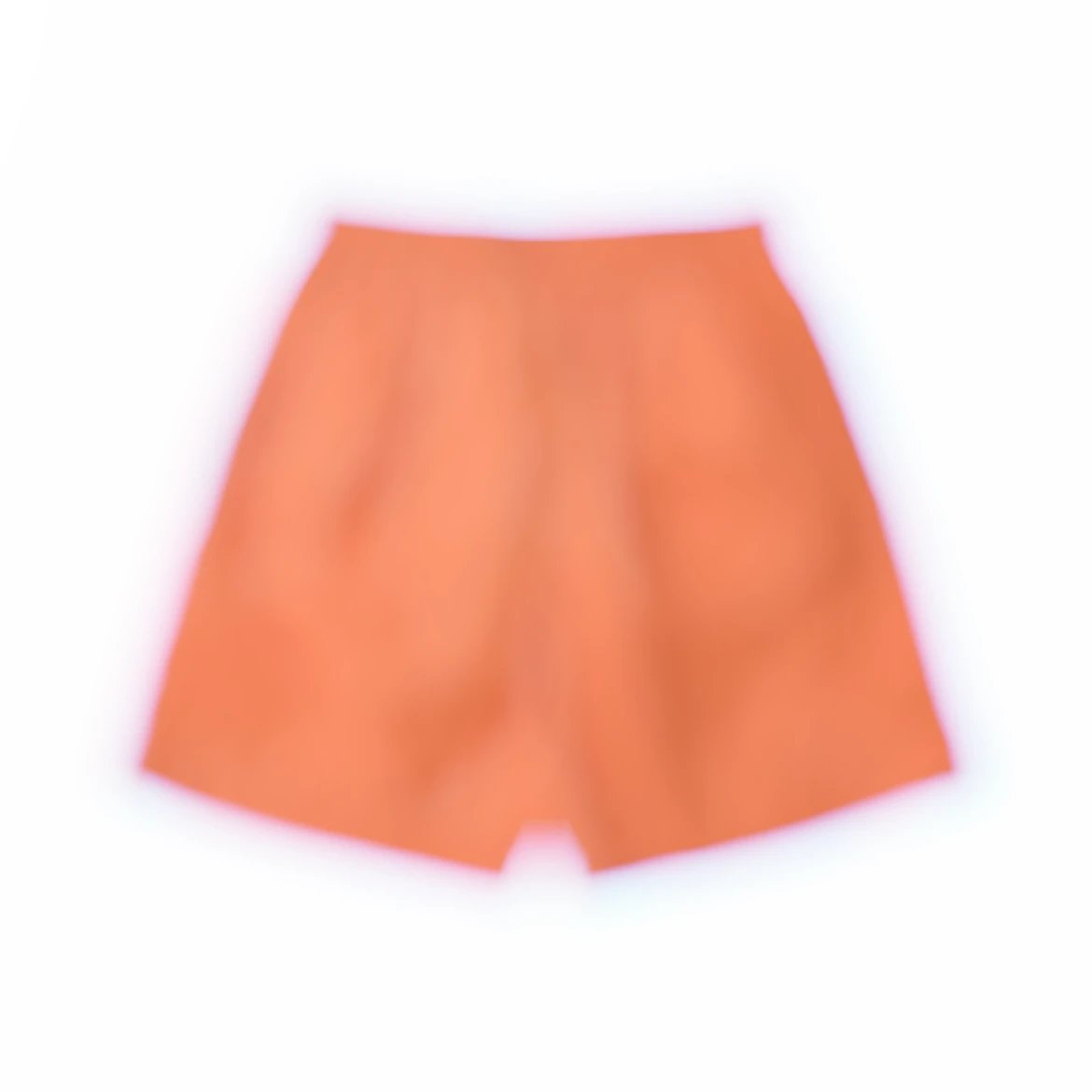 Louis Vuitton Shorts